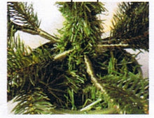 画像をギャラリービューアに読み込む, 本物のようなRS社(ドイツ)のクリスマスツリー